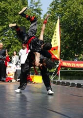 Kung Fu double form